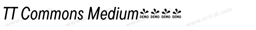 TT Commons Medium字体转换